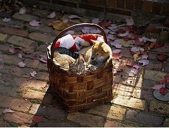 百万销量国产肉鸽续作《霓虹深渊2》免费Demo已上线Steam