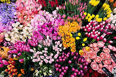 逃脱审判的罪人前来告解：机核发行完全免费游戏《倒影与告解室》上线Steam